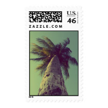 Palm Tree Stamps