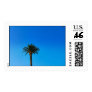 Palm Tree