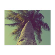 Palm Tree Post Cards