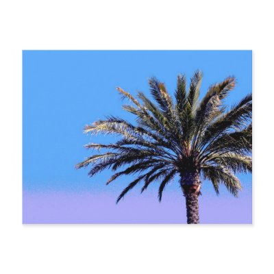 palm tree postcards by DonnaGrayson_Photos