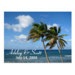 Palm Tree Postcard