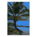 palm tree poster posters