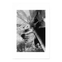 Palm Tree posters by MelanieAmberPearson Palm Tree posters