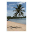 palm tree posters by cardart palm tree posters