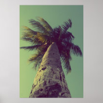 Palm Tree Print