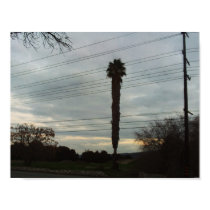 Palm Tree Poster posters