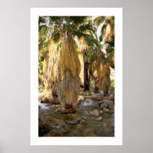 Palm Tree  Posters