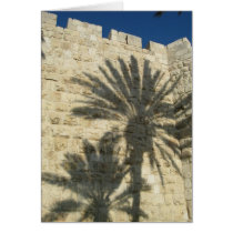 Palm Tree Shadows cards