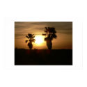 Palm tree silhouettes. posters by Acorns_tree Palm tree silhouettes. posters