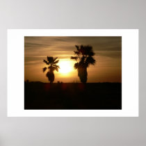 Palm tree silhouettes. posters
