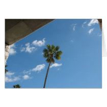 Palm Tree Sky cards by DonnaGrayson Palm Tree Sky cards