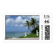 palm tree stamp by veronica2373 palm tree stamp