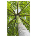 Palm tree stationery