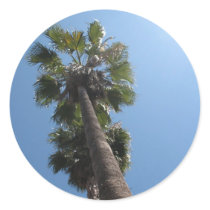 Palm Tree Sticker