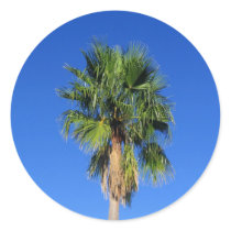 Palm Tree stickers by camobabygifts Palm Tree stickers