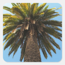 Palm Tree Stickers