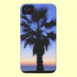 Palm Tree Sunset casemate cases