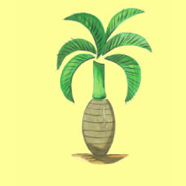 Palm Tree T t-shirts by LDGustafson Palm Tree T t-shirts