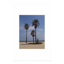 Palm Tree Trio posters by cdisisto Palm Tree Trio posters