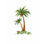 Palm Tree