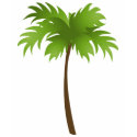 Palm Tree t-shirts