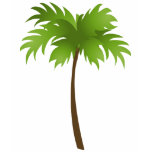 Palm Tree