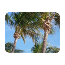 Palm Trees Against Blue Sky Rectangle Magnet