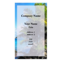 Palm Trees and Beach St. Thomas VI business cards