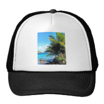 Palm Trees and Beach St. Thomas VI hats