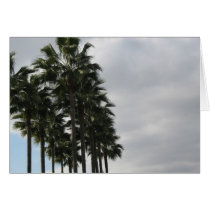Palm Trees and Clouds cards by DonnaGrayson Palm Trees and Clouds cards