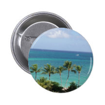 Palm trees and Ocean button