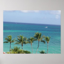 Palm Trees and Ocean poster posters