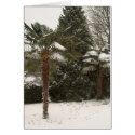 Palm Trees and Snow cards