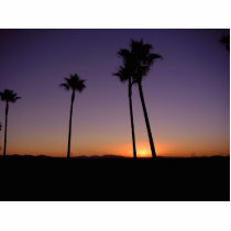Palm Trees And Sunrises photo sculptures by lifesphere Palm Trees And Sunrises photo sculptures