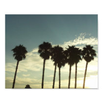 Palm Trees And The SoCal Sunrise Poster posters
