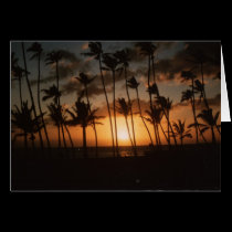 Palm Trees at Sunset cards