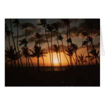 Palm Trees at Sunset Card