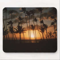 Palm Trees at Sunset mousepads
