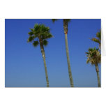 Palm Trees At Venice Beach Greeting Card