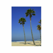 Palm Trees At Venice Beach photo sculptures by lifesphere Palm Trees At Venice Beach photo sculptures