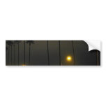 Palm Trees Beaches Night La Jolla Bumper Stickers
