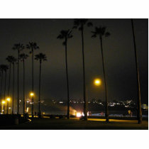 Palm Trees Beaches Night La Jolla photo sculptures by lifesphere Palm Trees Beaches Night La Jolla photo sculptures