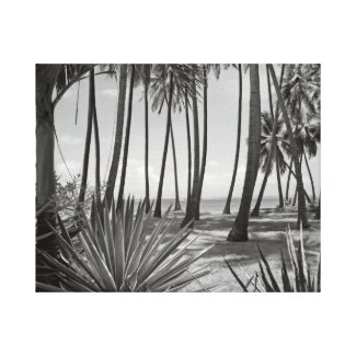 Palm Trees Black and White Fine Art Photography wrappedcanvas