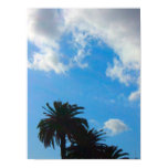 Palm Trees  Blue Sky posters