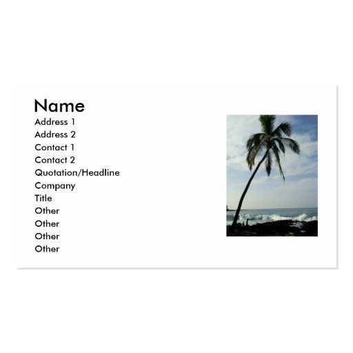 Palm Trees Business Card Template (front side)