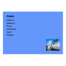 palm trees business card template