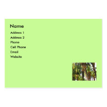 palm trees business card templates