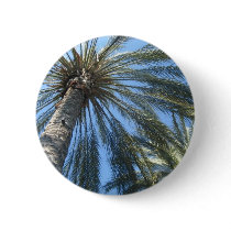 palm trees buttons
