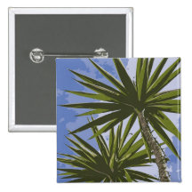Palm Trees Button