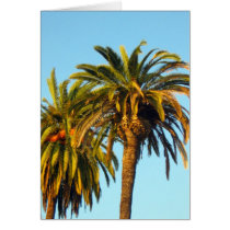 Palm Trees cards by DonnaGrayson Palm Trees cards